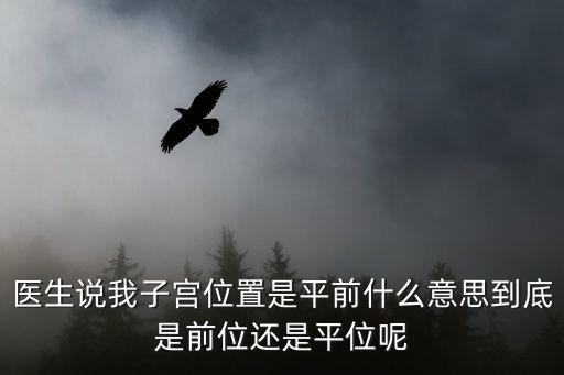 医生说我子宫位置是平前什么意思到底是前位还是平位呢
