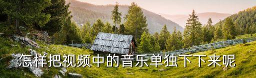 怎样把视频中的音乐单独下下来呢