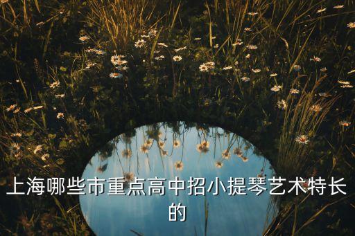 上海哪些市重点高中招小提琴艺术特长的
