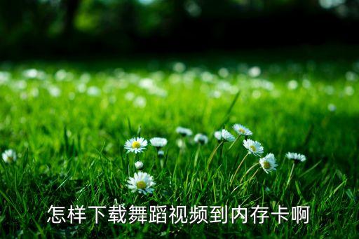 怎样下载舞蹈视频到内存卡啊