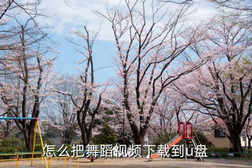 怎么把舞蹈视频下载到u盘