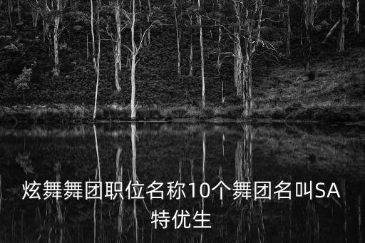 炫舞舞团职位名称10个舞团名叫SA特优生