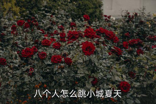 八个人怎么跳小城夏天
