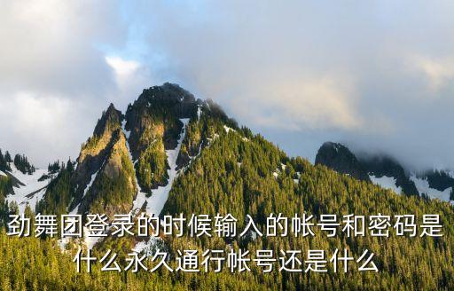 劲舞团登录的时候输入的帐号和密码是什么永久通行帐号还是什么