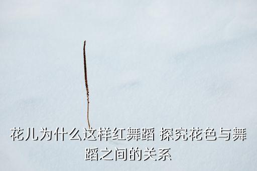 花儿为什么这样红舞蹈分解，花儿为什么那样红