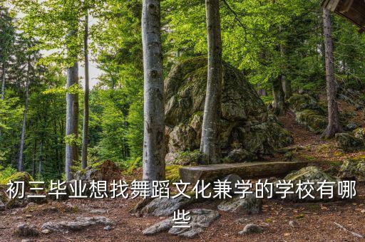 初三毕业想找舞蹈文化兼学的学校有哪些
