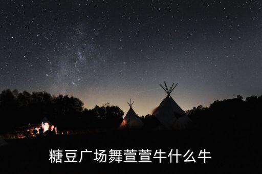 糖豆广场舞你牛什么牛48步，糖豆广场舞萱萱牛什么牛