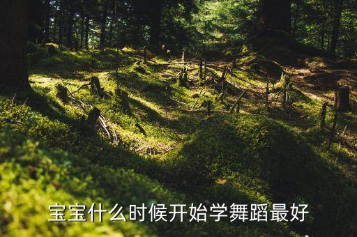宝宝什么时候开始学舞蹈最好