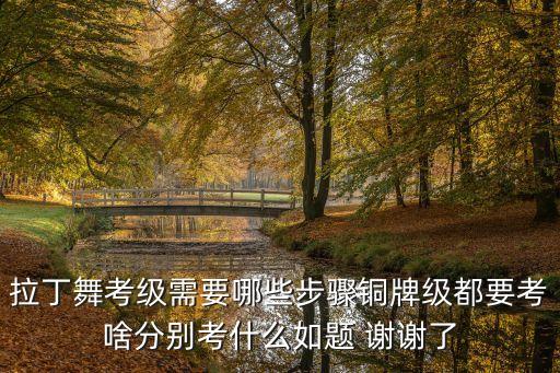 拉丁舞考级需要哪些步骤铜牌级都要考啥分别考什么如题 谢谢了