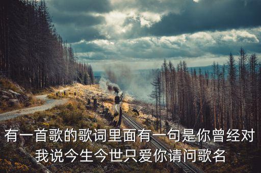 那么今生今世爱着你是什么歌，有一首歌的歌词里面有一句是你曾经对我说今生今世只爱你请问歌名