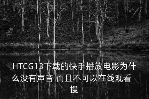 HTCG13下载的快手播放电影为什么没有声音 而且不可以在线观看  搜