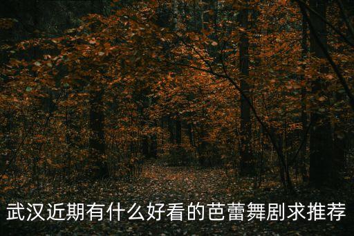 武汉近期有什么好看的芭蕾舞剧求推荐