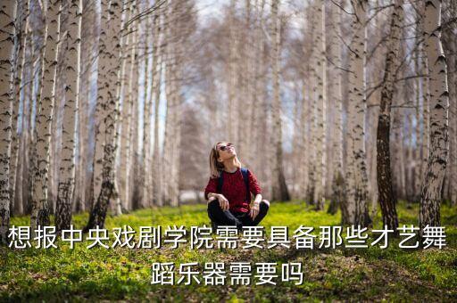 想报中央戏剧学院需要具备那些才艺舞蹈乐器需要吗