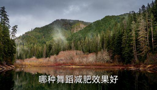 哪种舞蹈减肥效果好