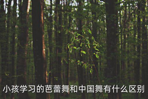 小孩学习的芭蕾舞和中国舞有什么区别