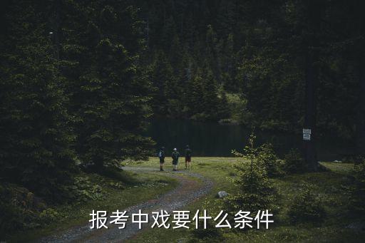 报考中戏要什么条件
