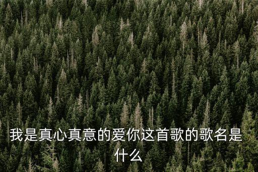 我是真心真意的爱你这首歌的歌名是 什么