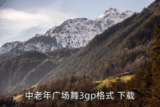 中老年广场舞3gp格式 下载