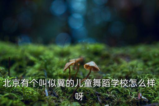 北京有个叫似翼的儿童舞蹈学校怎么样呀