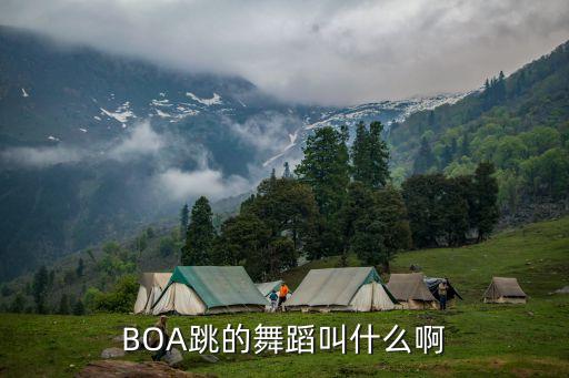 BOA跳的舞蹈叫什么啊