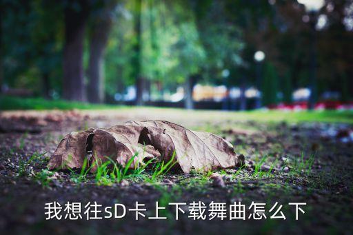我想往sD卡上下载舞曲怎么下