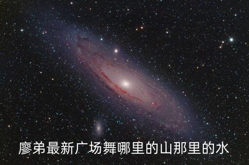 廖弟最新广场舞哪里的山那里的水