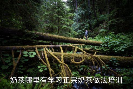 奶茶哪里有学习正宗奶茶做法培训