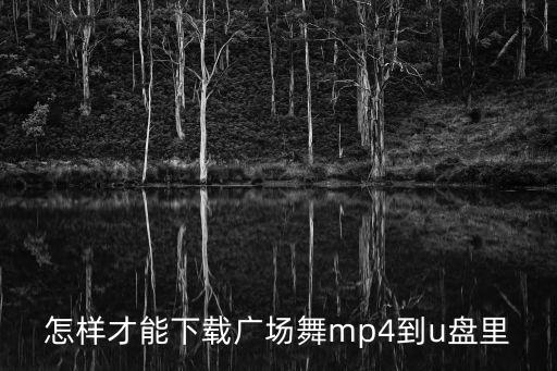 怎样才能下载广场舞mp4到u盘里