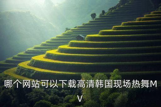 韩国跳舞的视频素材网站，谁知道关韩国时尚舞蹈的网址