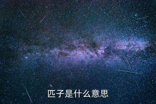 匹子是什么意思
