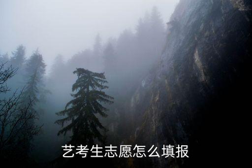 艺考生志愿怎么填报