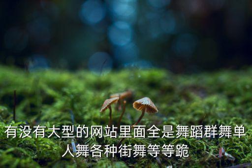 有没有大型的网站里面全是舞蹈群舞单人舞各种街舞等等跪