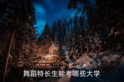 舞蹈生考300分能上什么学校，我是一个高二的舞蹈特长生舞蹈功底不好文化课大概300多分吧