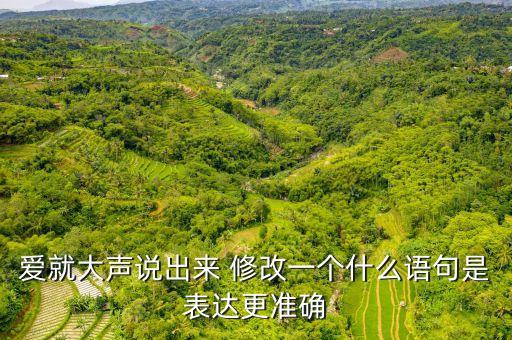 爱就大声说出来 修改一个什么语句是表达更准确