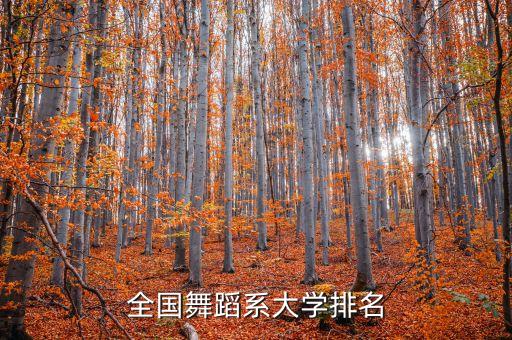 舞蹈类大学排名，全国舞蹈系大学排名