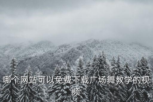 广场舞视频到哪里下载免费下载，哪个网站可以免费下载广场舞教学的视频
