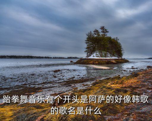 跆拳舞音乐有个开头是阿萨的好像韩歌的歌名是什么