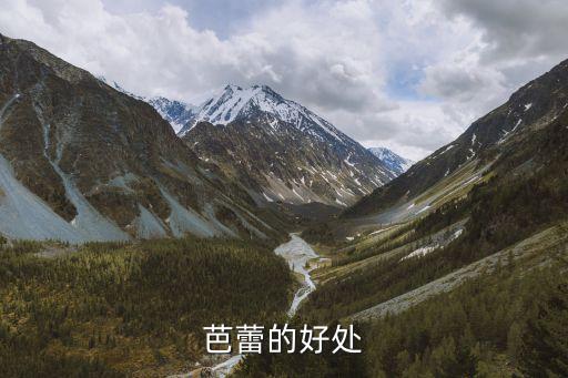 儿童芭蕾学什么好处，请问让孩子接受芭蕾舞培训怎么样对孩子好处多吗