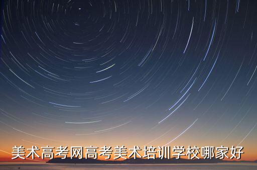 美术艺考网校，美术高考网有关的网站有哪些