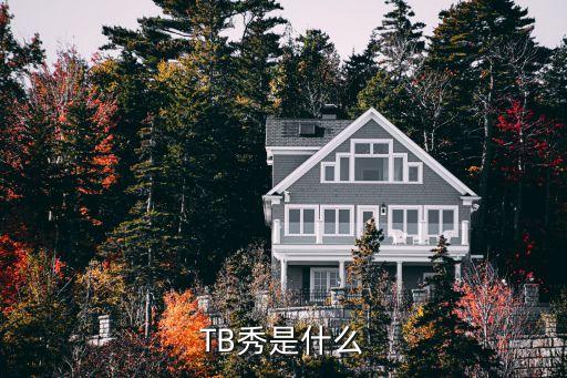 舞蹈秀形式有哪些，激光秀和激光舞不是一样的吗有什么区别