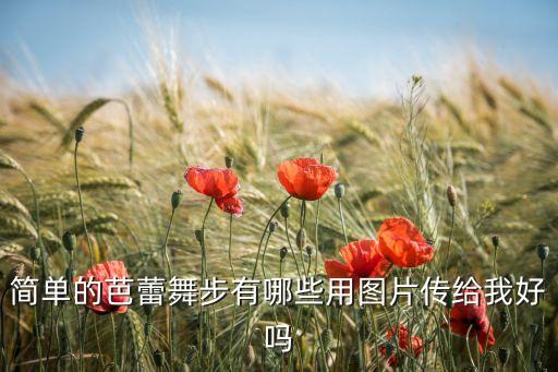 芭蕾舞基本动作图片高清，搞笑又简单的芭蕾动作