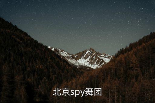 北京spy舞团