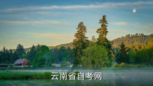 云南省自考网