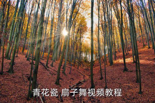 青花瓷 扇子舞视频教程