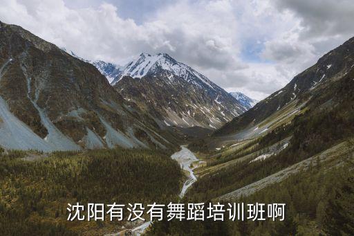 沈阳有没有舞蹈培训班啊
