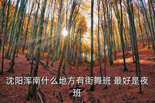 沈阳浑南什么地方有街舞班 最好是夜班