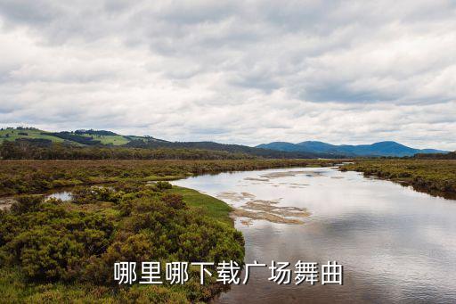 哪里哪下载广场舞曲