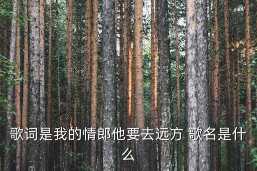 歌词是我的情郎他要去远方 歌名是什么