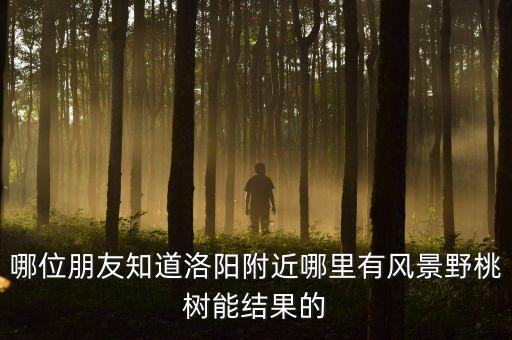 巩义附近看桃花去哪里，哪位朋友知道洛阳附近哪里有风景野桃树能结果的