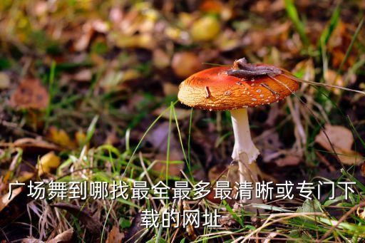 广场舞下载网站有哪些，在哪里可以下载广场舞呢有网址吗